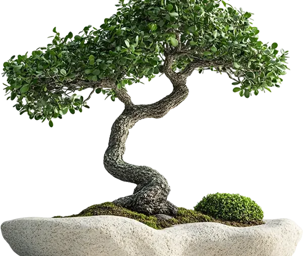 Banyan