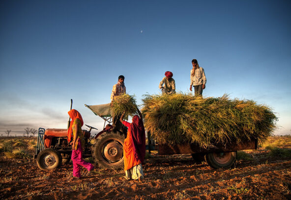 good-agricultural-practices