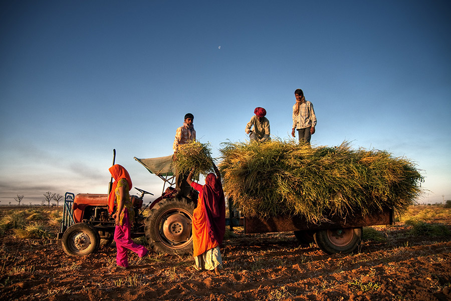 good-agricultural-practices
